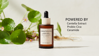 Madagascar Centella Probio-Cica Intensive Ampoule